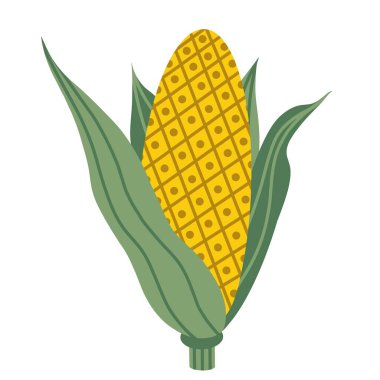 Mısırdan bir kulağın vektör çizimi. Yeşil yapraklı sarı mısır. Beyaz arka planda yalıtılmış sebze. Düz biçimdeki simge, biçimlendirilmiş resimleme