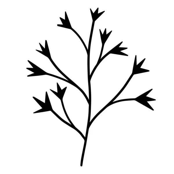 有叶子的树枝的黑色轮廓的矢量图解 白色背景上孤立的图标 瘦小的轮廓 手绘涂鸦图解 — 图库矢量图片
