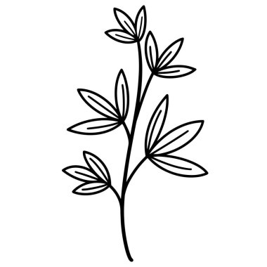 Vector illustration of a silhouette of a branch with leaves. Isolated icon on white background. Hand-drawn plant, grass. Simple black outline, stroke