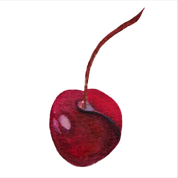 Ręcznie Narysowana Wiśnia Akwarela Jagoda Białym Tle Egzotyczne Owoce Łodygą — Zdjęcie stockowe