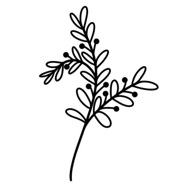Yaprak ve böğürtlenli bir dalın vektör çizimi. El çizimi botanik element beyaz arka planda izole edilmiş. Siyah karalama, çim silueti. Tasarım ve dekorasyon için kullanılabilir. Tek Renkli