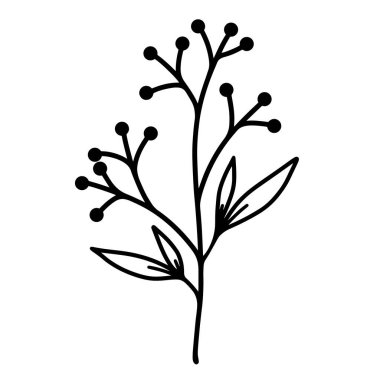 Yaprak ve böğürtlenli dal. Vektör simgesi beyazda izole edildi. Elle çizilmiş siyah karalama. Botanik öğesi. Yabani otların çevresi. Şube silueti. Monokrom, çizgi sanatı.