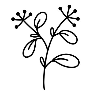 Yapraklı vektör ikonu filizi. Elle çizilmiş siyah karalama. Cilt bakımı ve böğürtlenli bir dalın taslağı. Bitki silueti botanik element. Bitki çevresi. Beyaz arkaplandaki izole nesne.