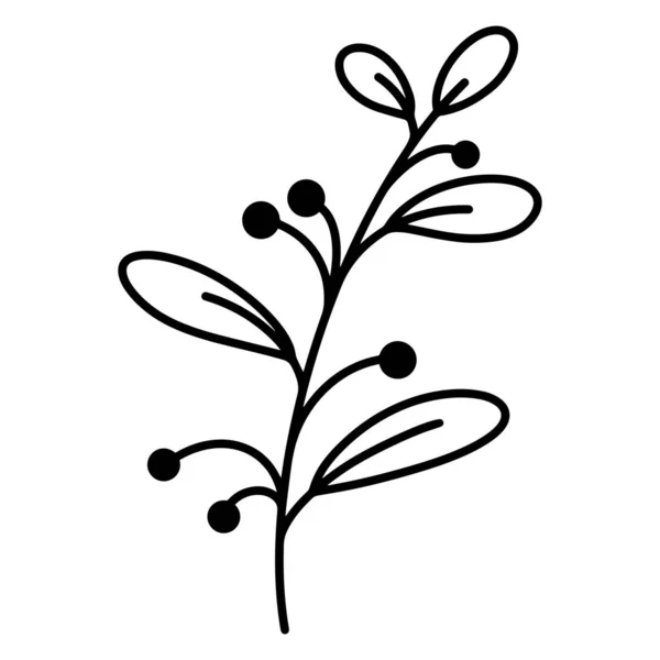 Εικονίδιο Διάνυσμα Κλαδί Φύλλα Και Μούρα Χειροποίητο Σκίτσο Μαύρο Περίγραμμα — Διανυσματικό Αρχείο