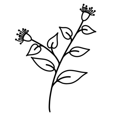 Twig with leaves and flowers. Vector icon isolated on white. Hand drawn doodle illustration. Black contour branches. Botanical element, herb outline. Plant sketch. Nice flora.