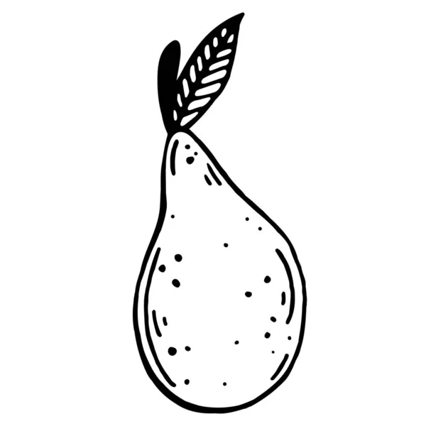 Pear Vector Icon Isolated Illustration White Background Hand Drawn Doodle — Stock Vector