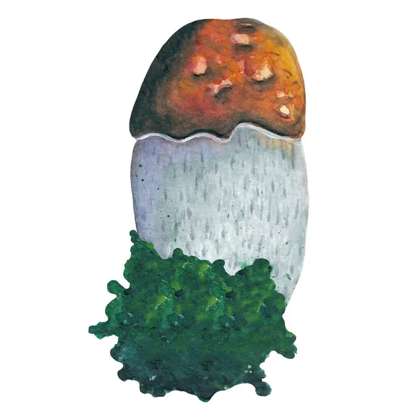 Liten Boletus Handdragen Akvarell Ätbar Svamp Med Jord Och Gräs — Stockfoto