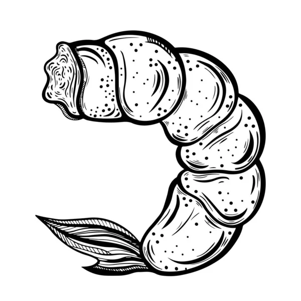 虾皮向量图标 在白色背景上孤立的手绘插图 海鲜素描 单色概念的装饰和设计的餐厅 咖啡馆 油墨等高线 — 图库矢量图片