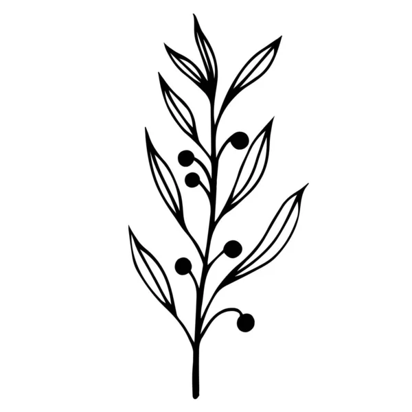Planta Silvestre Con Hojas Bayas Vector Icono Ilustración Dibujada Mano — Archivo Imágenes Vectoriales