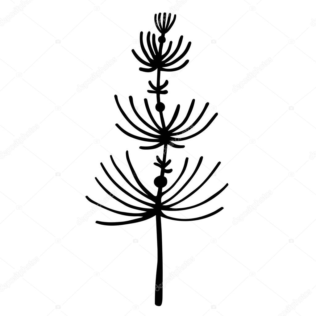 Wild grass silhouette vector icon. Hand-drawn doodle isolated on white. Horsetail botanical sketch. Monochrome element for decoration and design of cards, textiles, stationery, packaging.