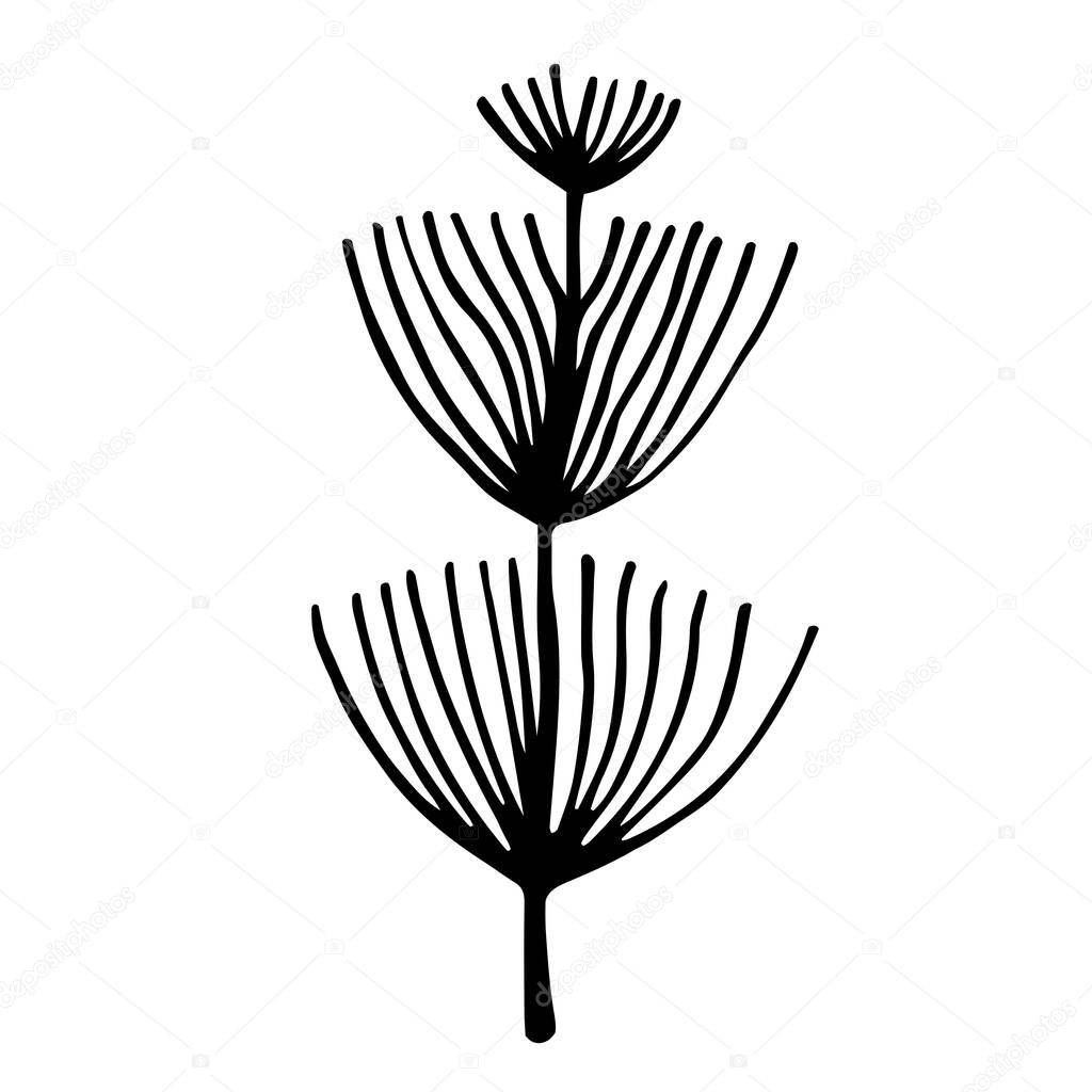 Field plant vector icon. Hand-drawn doodle. Wild horsetail botanical sketch. Straight stem with wavy leaves. Natural black and white concept for decoration and design of cards, invitations, textiles.