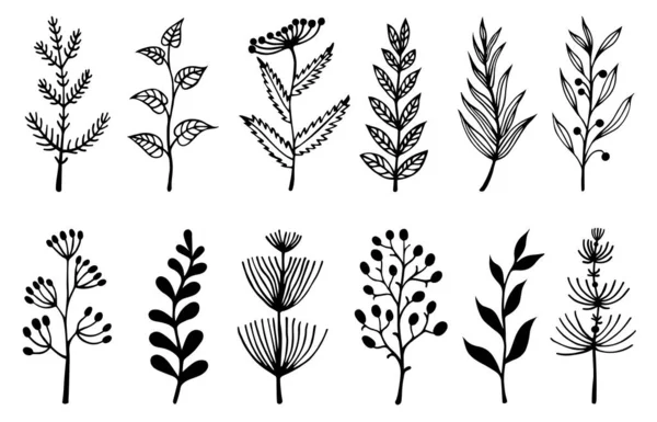 Çiçekler ve bitkiler vektör seti. El çizimi karalamalar. Yabani bitkiler, yapraklı dallar, tohumlu otlar. Yazdırma, kart, kırtasiye, tekstil, ambalaj için tek renkli konsept.