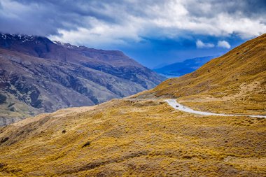 Yeni Zelanda 'nın güney adasındaki Arrowtown yolu boyunca otlar örtüldü..
