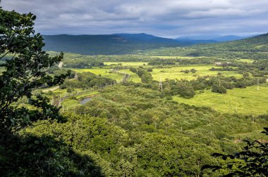 Yeşil ormanlarla kaplı güzel bir vadi. 