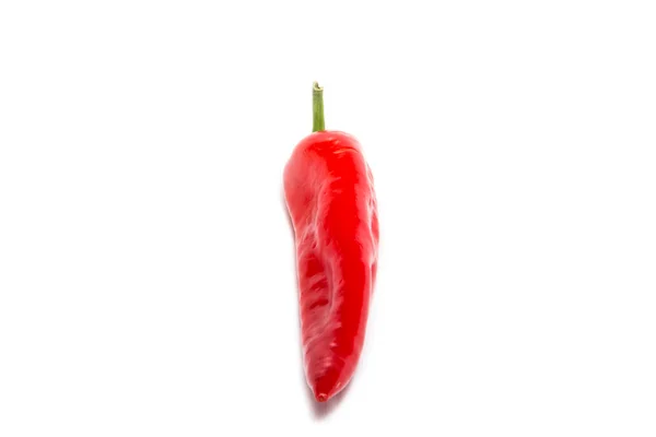 Κόκκινη πιπεριά σε λευκό φόντο — Φωτογραφία Αρχείου