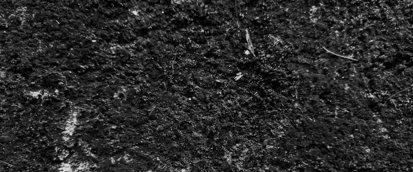 Τρομακτικοί Σκούροι Τοίχοι Μαύρη Υφή Φόντου Είναι Λίγο Ελαφριά Για — Φωτογραφία Αρχείου