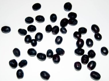 Beyaz arka planda izole edilmiş çeşitli siyah üzümler