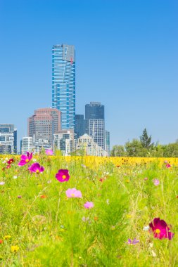 Çiçek Bahçesi ile Melbourne manzarası içinde belgili tanımlık geçmiş