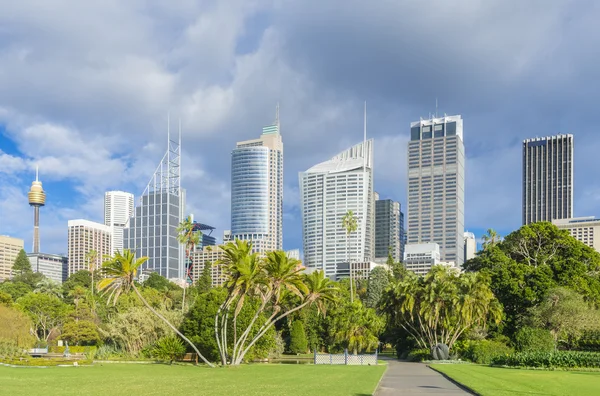 Jardim Botânico Real com paisagem urbana de Sydney, Austrália — Fotografia de Stock