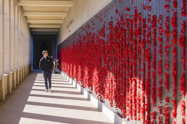 Avustralya Savaş Anıtı bronz plaklar bakarak genç