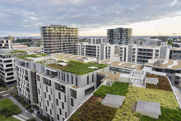 Vue du toit vert sur les bâtiments modernes à Sydney, Australie Photos De Stock Libres De Droits