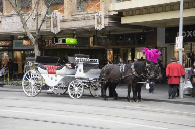 Melbourne sokakta bir atlı arabası