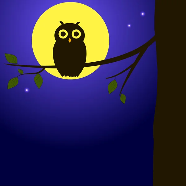 Owl on the branch — Stock Vector