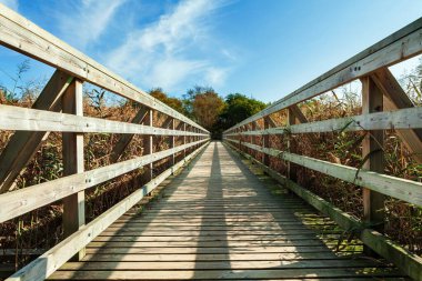 Parlak bir günde etrafı çimlerle çevrili. Lider çizgiler seni sonuna kadar götürür..