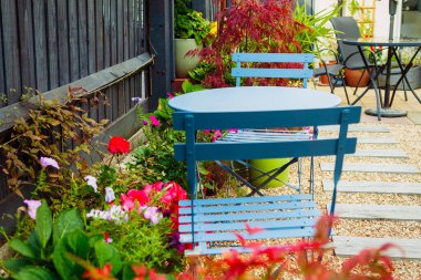 Yaz bahçesinin sonundaki sonbahar kırmızılarıyla birlikte. Öğleden sonra çekilmiş.