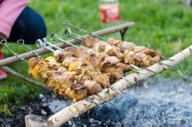 Şişleri niteliğine