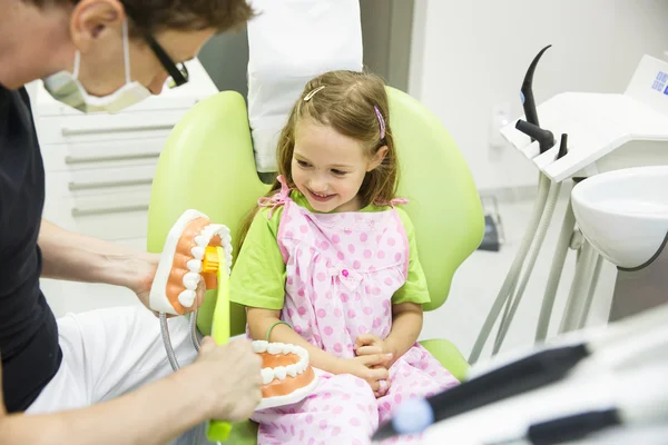 Dentist brushing a dental model — Stock Photo, Image