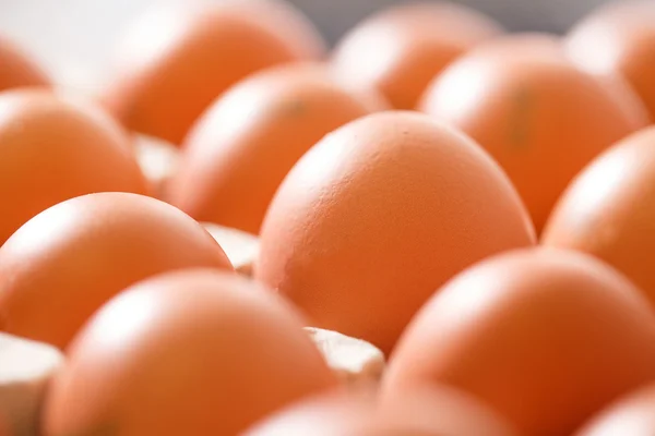 Свежие и органические куриные яйца упакованы в держатели — стоковое фото