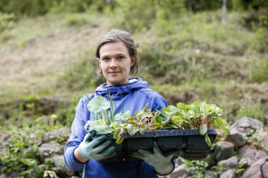 Dikilecek fidan koleksiyon holding bahçıvan