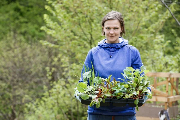 Jardinero que sostiene la colección de plántulas a plantar — Foto de Stock