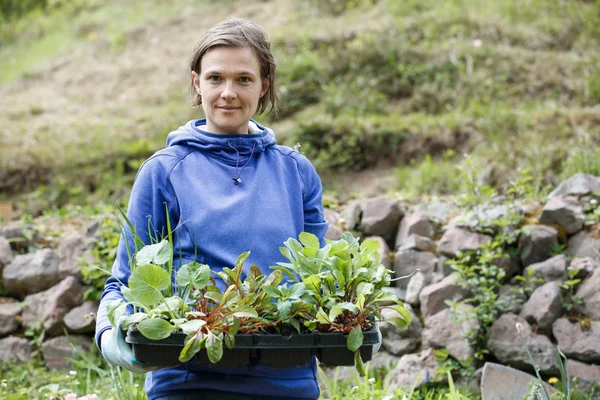 Jardinero que sostiene la colección de plántulas a plantar — Foto de Stock