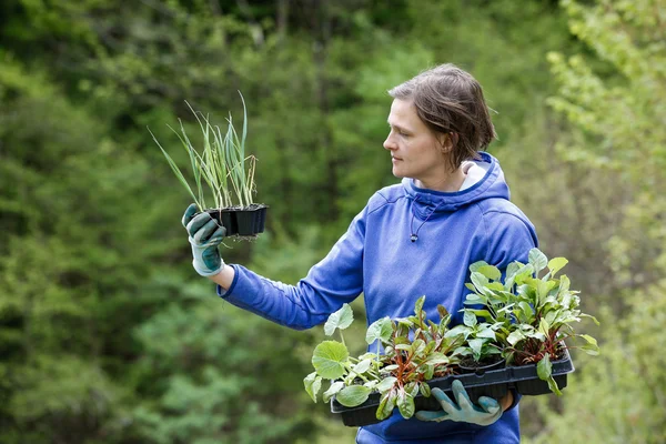 Жінка садівник з розсадою, готова до посадки — стокове фото