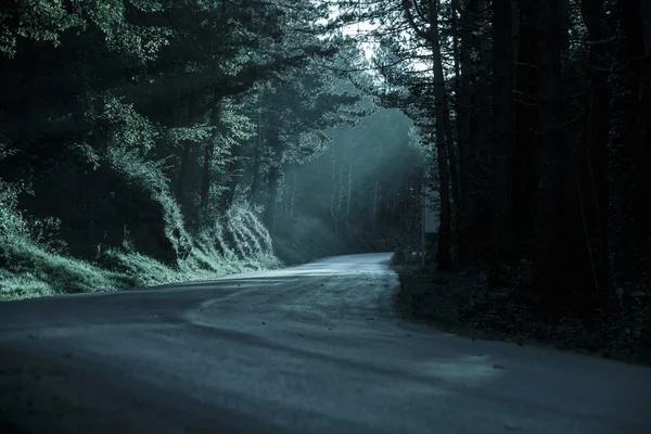 Floresta escura com estrada vazia em retroiluminação — Fotografia de Stock