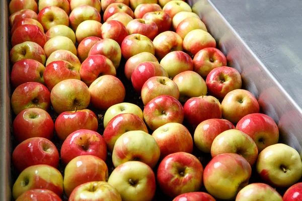 Pečená jablka zpracování a přepravy pro balení — Stock fotografie