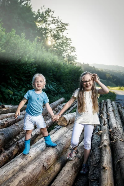 Brother and sister holding hands, walking in nature — Stock Photo, Image