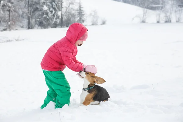 Küçük kız köpeğini karlı bir manzara ile oynarken — Stok fotoğraf