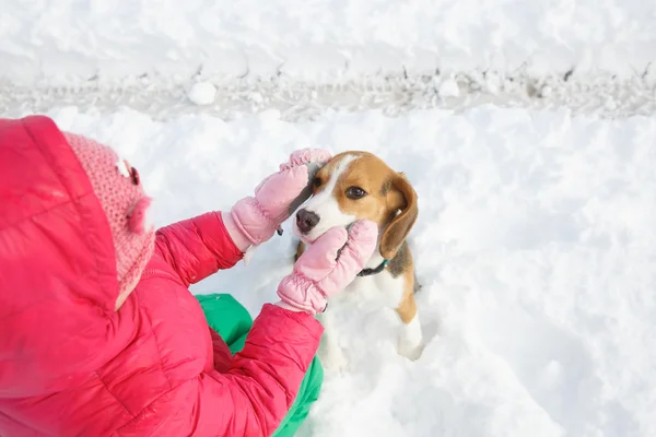 Küçük kız köpeğini karlı bir manzara ile oynarken — Stok fotoğraf