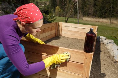 Woman applying oil on a new wooden raised garden bed. DIY concept.  clipart