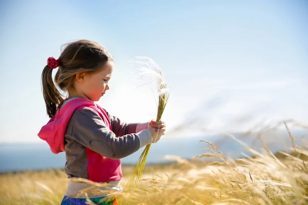 Roztomilá holčička, sběr trávy — Stock fotografie