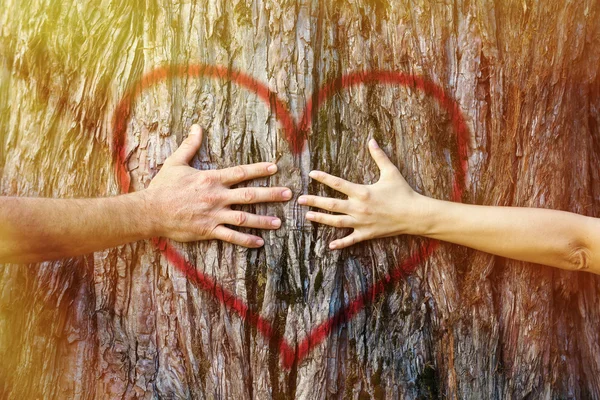 Pareja tocando el corazón a la luz del sol — Foto de Stock