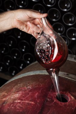 Sommelier örnekleme kırmızı şarap