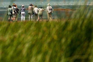 Yaşlılar foto safari