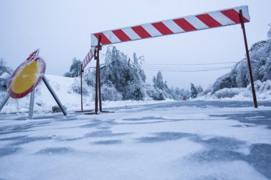 Arka planda düşmüş ağaçları ile buz yol kapalı