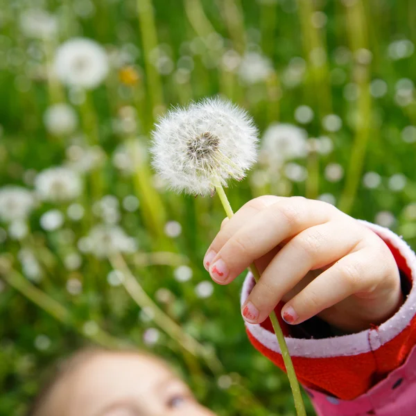 Girl lying in grass, surrounded by dandelion — Stock Photo, Image