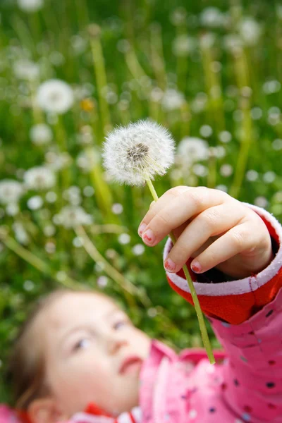 Girl lying in grass, surrounded by dandelion — Stock Photo, Image