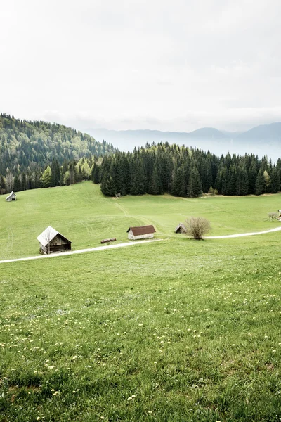 Idylliska mjölkgårdar på alpina äng — Stockfoto